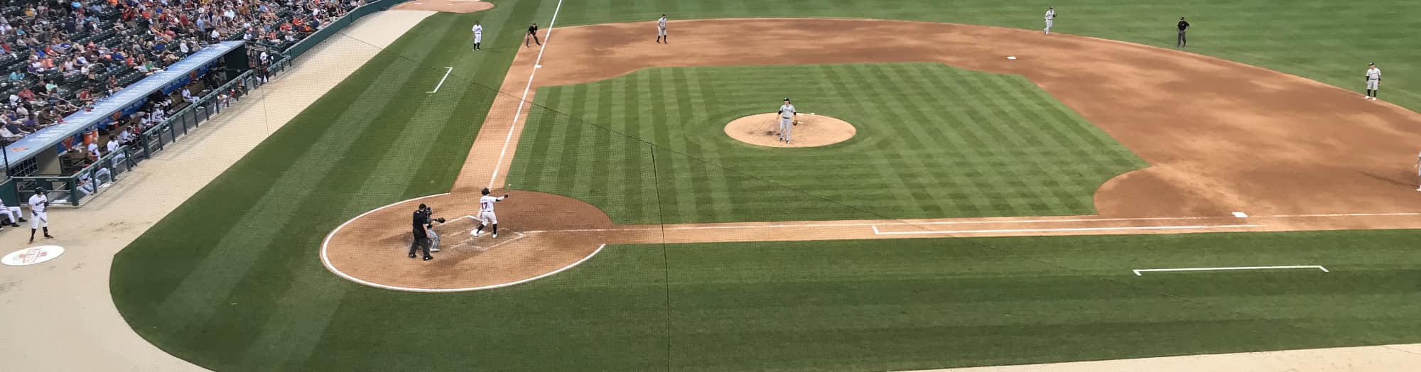 green baseball field Albany